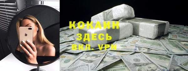 spice Богданович