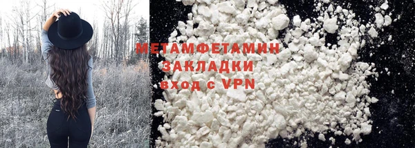 прущие грибы Бородино