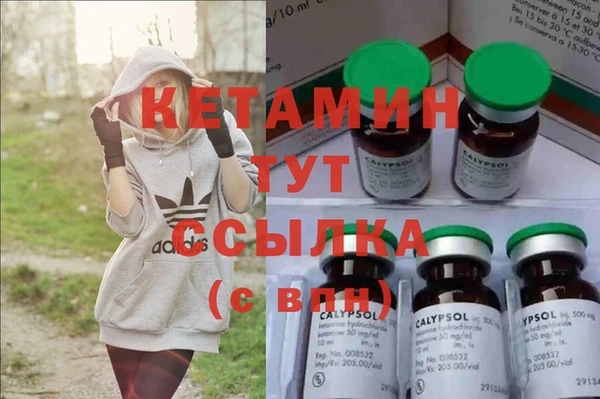 spice Богданович