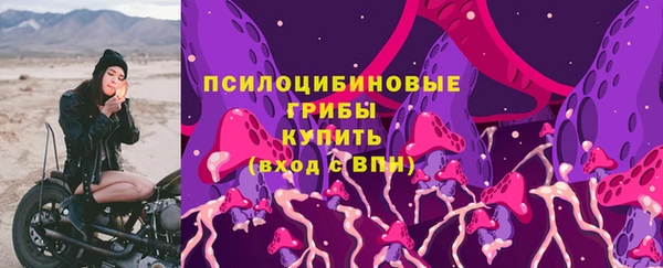 прущие грибы Бородино