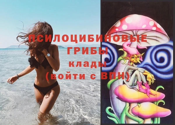 spice Богданович